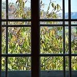 Haus Walli-simmen- 2 By Interhome